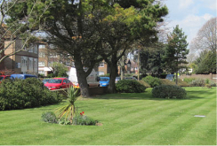 Striped Lawn